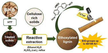 Graphical abstract: Upgrading AquaSolv Omni (AqSO) biorefinery: access to highly ethoxylated lignins in high yields through reactive extraction (REx)
