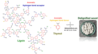 Graphical abstract: Supramolecular interaction-driven delignification of lignocellulose