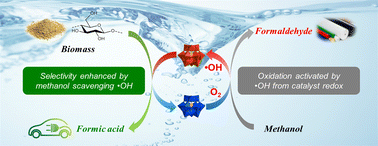 Graphical abstract: Efficient catalytic oxidation of biomass to formic acid coupled with low-energy formaldehyde production from methanol