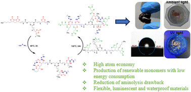 Graphical abstract: Greener preparation of a flexible material based on macaw palm oil derivatives and CO2