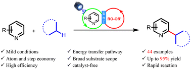 Graphical abstract: Metal- and photosensitizer-free cross-dehydrogenative coupling through photoinduced energy transfer