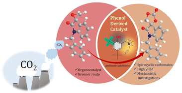 Graphical abstract: Modular synthesis of spirocyclic carbonates: unravelling the synergistic interplay of electronic and electrostatic sites on phenolic catalyst