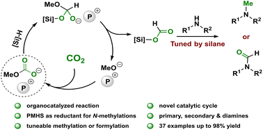 Graphical abstract: Tuneable reduction of CO2 – organocatalyzed selective formylation and methylation of amines