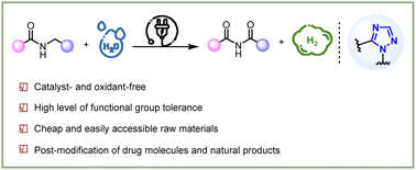 Graphical abstract: Sustainable electrocatalytic oxidation of N-alkylamides to acyclic imides using H2O