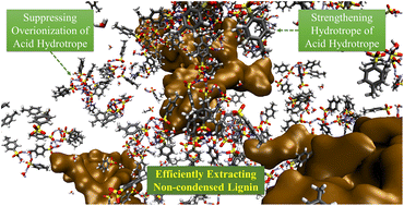 Graphical abstract: Unraveling lignin extraction: molecular dynamics insights into effective biomass valorization using a p-toluenesulfonic acid/solvents system
