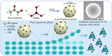 Graphical abstract: In situ bifunctional solid acids bearing B–OH and –COOH groups for efficient hydrolysis of cellulose to sugar in a pure aqueous phase