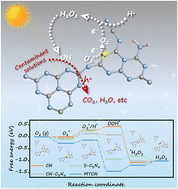 Graphical abstract: Green and alcohol-free H2O2 generation paired with simultaneous contaminant treatment enabled by sulfur/cyano-modified g-C3N4 with efficient oxygen activation and proton adsorption