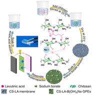 Graphical abstract: Engineering chitosan into a recyclable and flame-resistant gel electrolyte via a dual cross-linking strategy for flexible supercapacitors