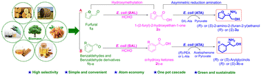 Graphical abstract: One-pot two-stage biocatalytic upgrading of biomass-derived aldehydes to optically active β-amino alcohols via sequential hydroxymethylation and asymmetric reduction amination