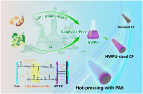 Graphical abstract: Synthesis of a fully bio-based self-catalyzed hyperbranched waterborne polyurethane as a sizing agent for enhancing the interfacial properties of CF/PA6 composites