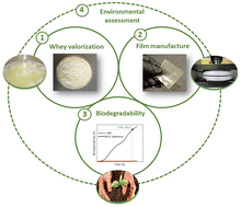 Graphical abstract: Valorization of cheese whey: closing the loop from protein extraction to whey protein film composting