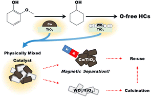 Graphical abstract: Hydrodeoxygenation of guaiacol over physically mixed Co/TiO2 and WO3/TiO2 catalysts