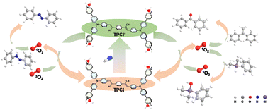 Graphical abstract: A water-soluble type II photosensitizer for selective photooxidation reactions of hydroazaobenzenes, olefins, and hydrosilanes in water