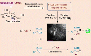 Graphical abstract: Reusable Co-catalysts for general and selective α-alkylation of nitriles with alcohols
