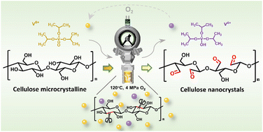 Graphical abstract: Preparation of aldehyde-functionalized cellulose nanocrystals via aerobic oxidation of cellulose in a recyclable triisopropoxy vanadium oxidation system