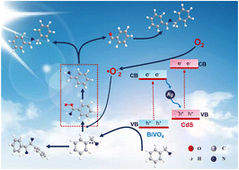 Graphical abstract: Fabricating CdS/Ag/BiVO4 Z-heterojunction for solvent-free photocatalytic oxidation of amines