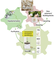 Graphical abstract: Closing the loop for poly(butylene-adipate-co-terephthalate) recycling: depolymerization, monomers separation, and upcycling