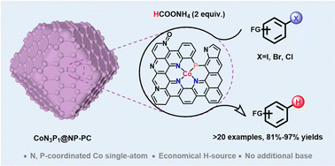 Graphical abstract: Asymmetric CoN3P1 single-atom catalytic sites for enhanced transfer hydrodehalogenation