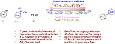 Graphical abstract: Saponin: a green and efficient natural surfactant for Suzuki–Miyaura cross-couplings of heteroaryl substrates in aqueous media at ambient conditions