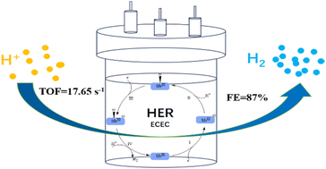 Graphical abstract: First application of antimony(iii) corrole for electrocatalytic hydrogen evolution