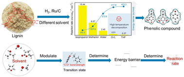 Graphical abstract: Investigation into the effect of solvents on lignin hydrogenation for the production of phenolic compounds