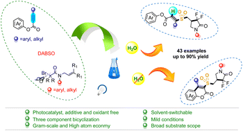 Graphical abstract: Photocatalyst-free H2O-regulated and regiodivergent multicomponent hydrogenation/bifunctional sulfonylation of alkynes