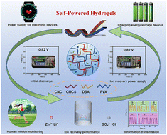 Graphical abstract: Constructing robust and recyclable self-powered polysaccharide-based hydrogels by adjusting Zn2+/Li+ bimetallic networks