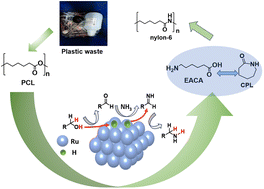 Graphical abstract: Valorization of polycaprolactone for the production of nylon-6 monomers