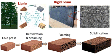 Graphical abstract: Eco-foaming lignin for innovative rigid foam
