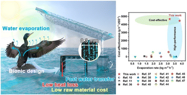 Graphical abstract: Cormorant-inspired macro-porous hydrogel thin film evaporators for boosting cost-effective solar water purification