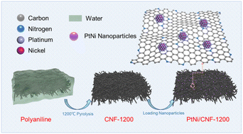 Graphical abstract: Polyaniline-derived carbon nanofibers with a high graphitization degree loading ordered PtNi intermetallic nanoparticles for oxygen reduction reaction