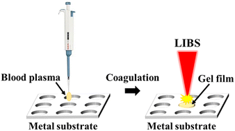 Graphical abstract: Fast determination of electrolyte elements in human blood plasma using surface-enhanced laser-induced breakdown spectroscopy combined with a gel film method