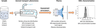 Graphical abstract: Unraveling the role of aerosol transport on nanomaterial characterization by means single particle inductively coupled plasma mass spectrometry