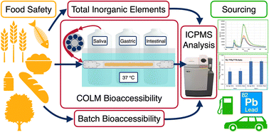 Graphical abstract: The continuous on-line leaching method coupled to inductively coupled plasma mass spectrometry for risk assessment of food safety and for sourcing of elements: a tutorial review