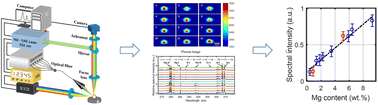 Graphical abstract: A spectral standardization method based on plasma image-spectrum fusion to improve the stability of laser-induced breakdown spectroscopy