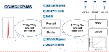 Graphical abstract: Comparison of different mass bias correction procedures for the measurement of mercury species-specific isotopic composition by gas chromatography coupled to multicollector ICP-MS