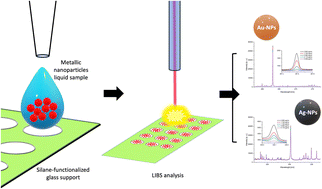 Graphical abstract: A chemically functionalized glass support for gold and silver metallic nanoparticle analysis with LIBS