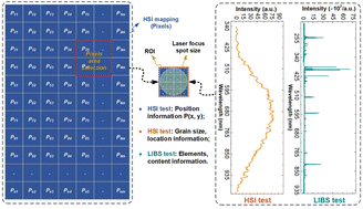 Graphical abstract: Fast fingerprint scanning and chemical composition identification of a large-scale material surface by a combined HSI-LIBS operation
