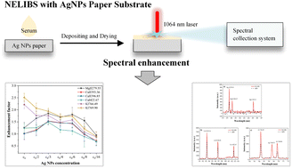 Graphical abstract: Nanoparticle-enhanced laser-induced breakdown spectroscopy for serum element analysis using an Ag NP-coated filter paper substrate