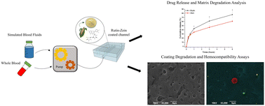 Graphical abstract: Dynamic investigation of zein-based degradable and hemocompatible coatings for drug-eluting stents: a microfluidic approach