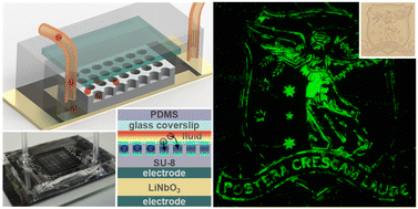 Graphical abstract: Sub-wavelength acoustic stencil for tailored micropatterning