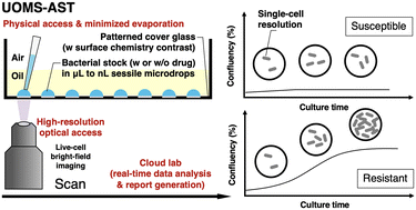 Graphical abstract: Under-oil open microfluidic systems for rapid phenotypic antimicrobial susceptibility testing