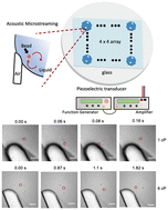 Graphical abstract: Microfluidic viscometer by acoustic streaming transducers