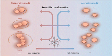 Graphical abstract: Dynamically reversible cooperation and interaction of multiple rotating micromotors