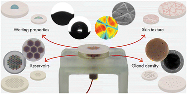 Graphical abstract: A versatile artificial skin platform for sweat sensor development