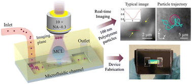 Graphical abstract: Dynamic nano-imaging via a microsphere compound lens integrated microfluidic device with a 10× objective lens