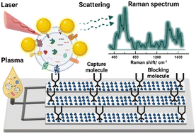 Graphical abstract: Emerging integrated SERS-microfluidic devices for analysis of cancer-derived small extracellular vesicles
