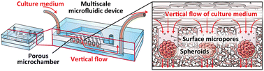 Graphical abstract: A multiscale, vertical-flow perfusion system with integrated porous microchambers for upgrading multicellular spheroid culture