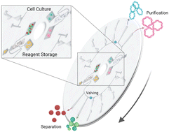 Graphical abstract: Integrated membranes within centrifugal microfluidic devices: a review