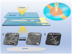 Graphical abstract: On-chip gas reaction nanolab for in situ TEM observation